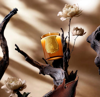 Altair Classic Bougie • Trudon