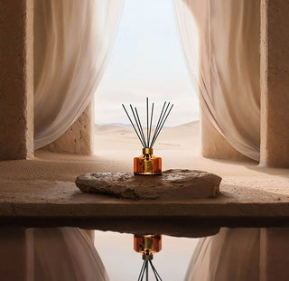 Altaïr Diffuser • Trudon