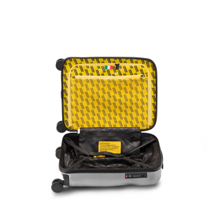 Icon Cabin Silver • Crash Baggage