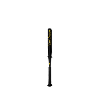 Baseball Bats Dom Perignon