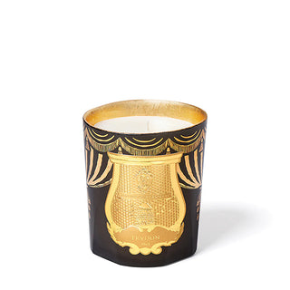 Fir Christmas Bougie 2024|Trudon