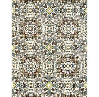 INSECTA • ILLULIAN STUDIO