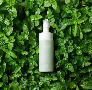 Intimate Foaming Wash • Waphyto