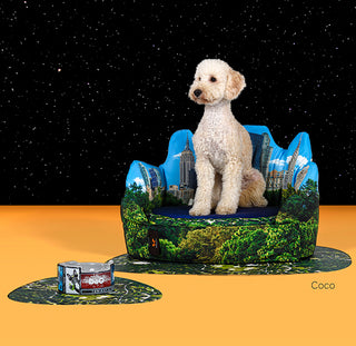 Seletti Set New York|United Pets