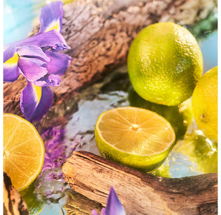 Oceania Parfum - Roja Parfums