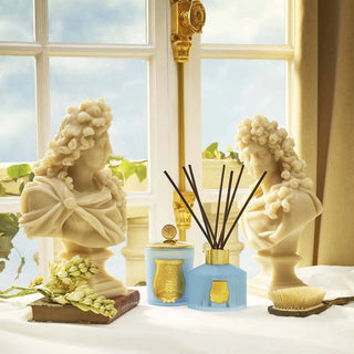 Versailles Room Diffuser|Trudon