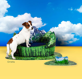 Set Les Alpes|United Pets