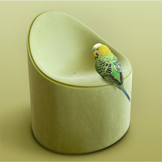 Armchair Bay Moleskin