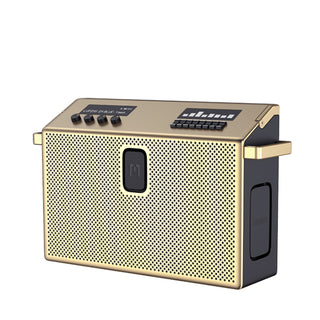 BT • Speaker Large Brass