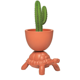 Turtle Carry Planter and Champagne Cooler - Danilo Cascella Premium Store