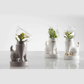 Dogsai, Matteo Cibic - Danilo Cascella Premium Store