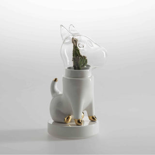 Dogsai, Matteo Cibic - Danilo Cascella Premium Store