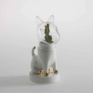 Dogsai, Matteo Cibic - Danilo Cascella Premium Store