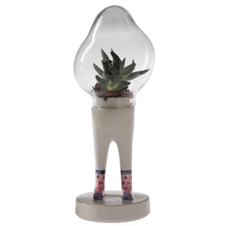 Domsai, Matteo Cibic - Danilo Cascella Premium Store