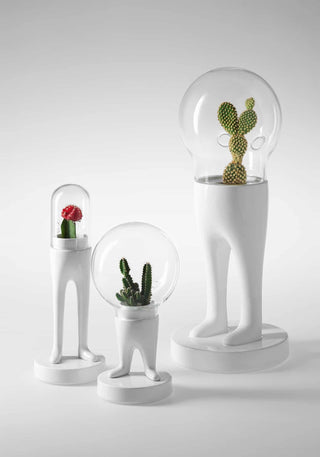 Domsai, Matteo Cibic - Danilo Cascella Premium Store