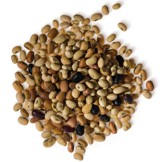 Venere, Pot for Legume Cooking - Danilo Cascella Premium Store