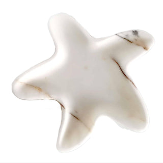 Sea Star - Danilo Cascella Premium Store