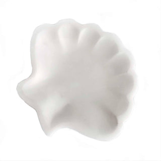 Shell - Danilo Cascella Premium Store