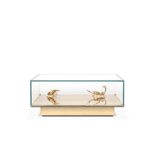 Metamorphosis Coffee Table - Danilo Cascella Premium Store