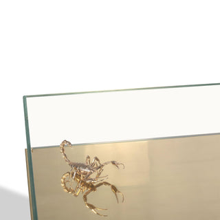 Metamorphosis Coffee Table - Danilo Cascella Premium Store