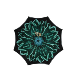 Double Green Kiku Print Umbrella - Danilo Cascella Premium Store