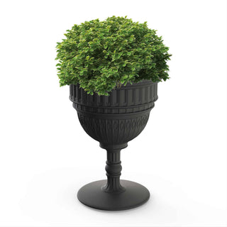 Capitol planter and champagne cooler - Danilo Cascella Premium Store