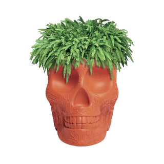 Mexico Planter and Champagne Cooler - Danilo Cascella Premium Store