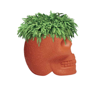 Mexico Planter and Champagne Cooler - Danilo Cascella Premium Store
