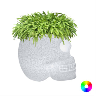 Mexico Planter and Champagne Cooler Lamp with Rechargeable Led - Danilo Cascella Premium Store