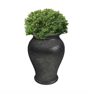 Ming planter and champagne cooler - Danilo Cascella Premium Store