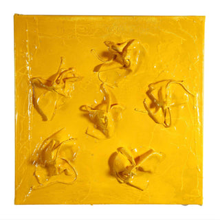 Yellow Universal Knowledge - Danilo Cascella Premium Store