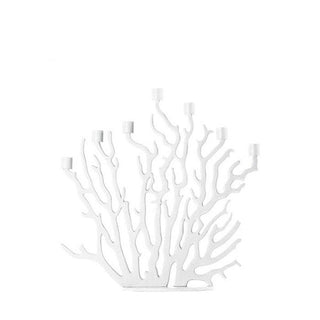 Tenochtitlan - Danilo Cascella Premium Store