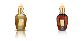 Oud Stars Collection - Danilo Cascella Premium Store