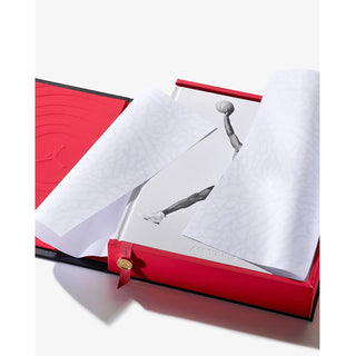 Air Jordan Ultimate Edition