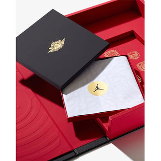 Air Jordan Ultimate Edition