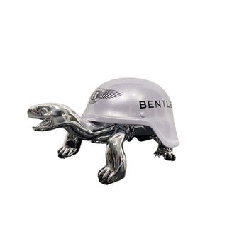 Bentley Turtle • Naor