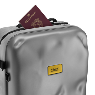 Iconic Backpack Silver  • Crash Baggage 