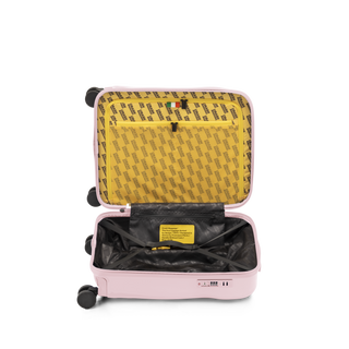 Icon Cabin Skin Pink • Crash Baggage