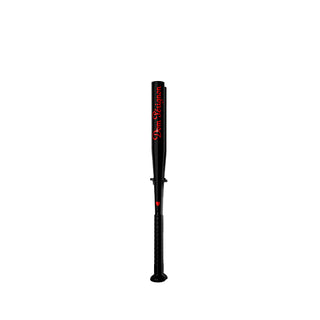 Baseball Bats Dom Perignon