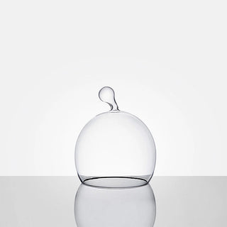 Echoes • Design Glass Cloche