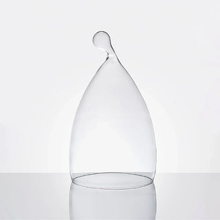 Echoes • Design Glass Cloche