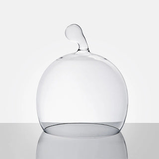Echoes • Design Glass Cloche