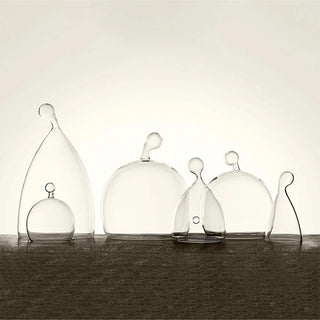 Echoes • Design Glass Cloche