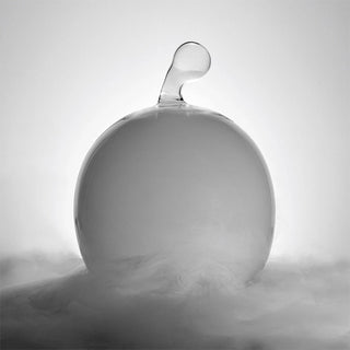 Echoes • Design Glass Cloche