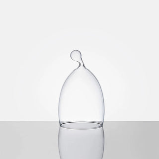 Echoes • Design Glass Cloche