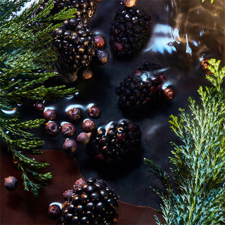 Elysium Noir • Roja Parfums