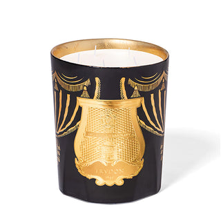 Fir Christmas Bougie 2024|Trudon 