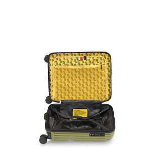Stripe Cabin Green Olive • Crash Baggage