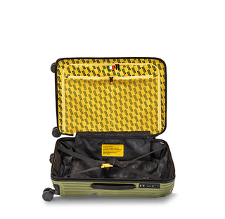 Stripe Medium Green Olive • Crash Baggage 