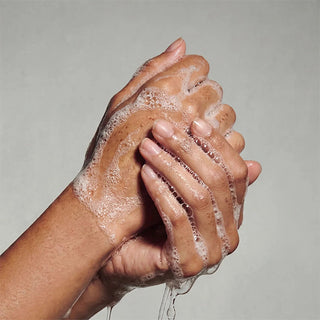 Camellia Sinensis | Duo Set Hand • Zenology